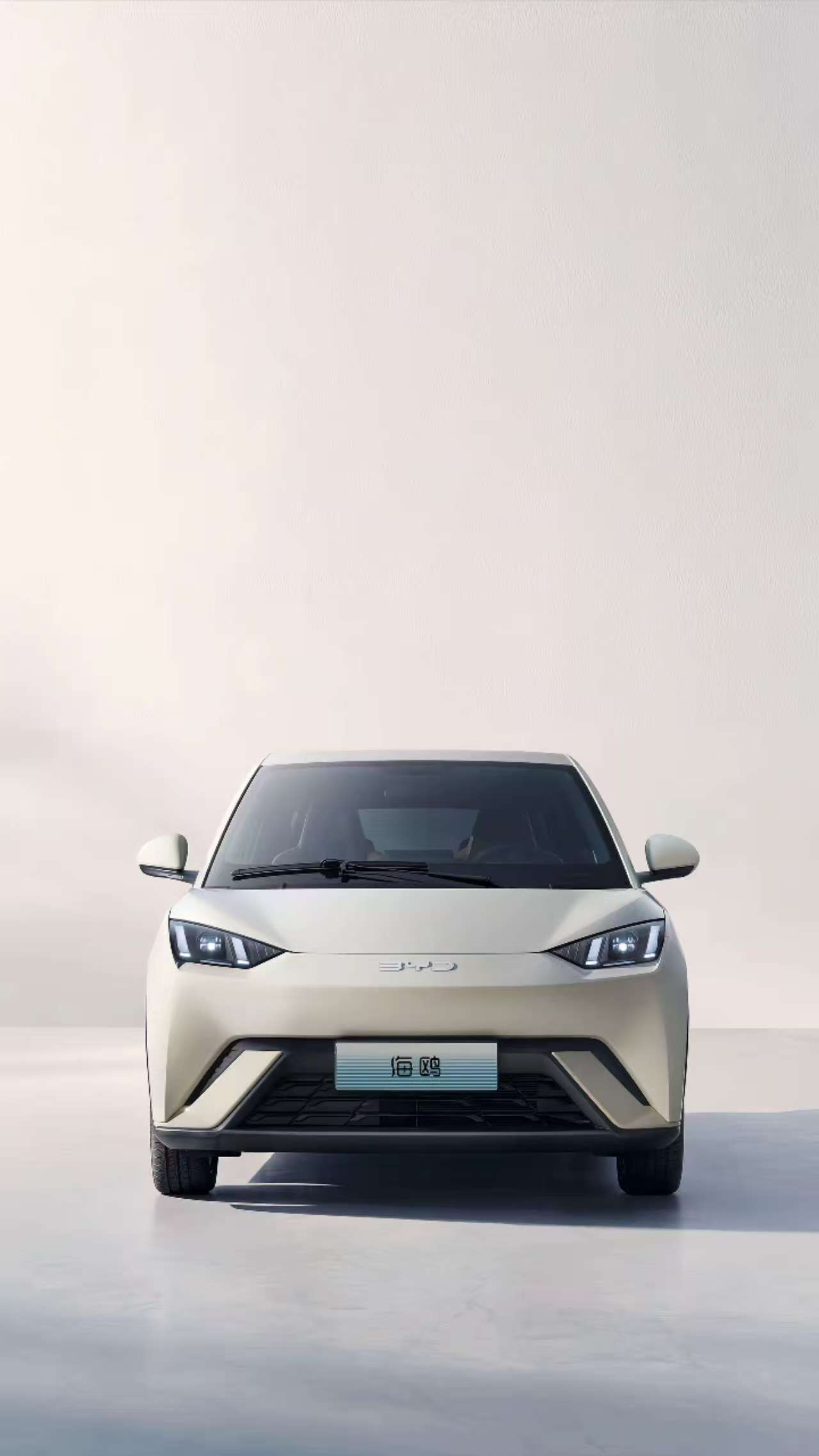BYD Seagull